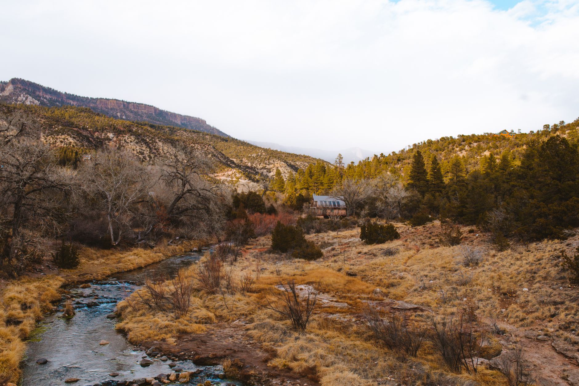 The Ultimate Guide to the Best Cabin Stays in the USA