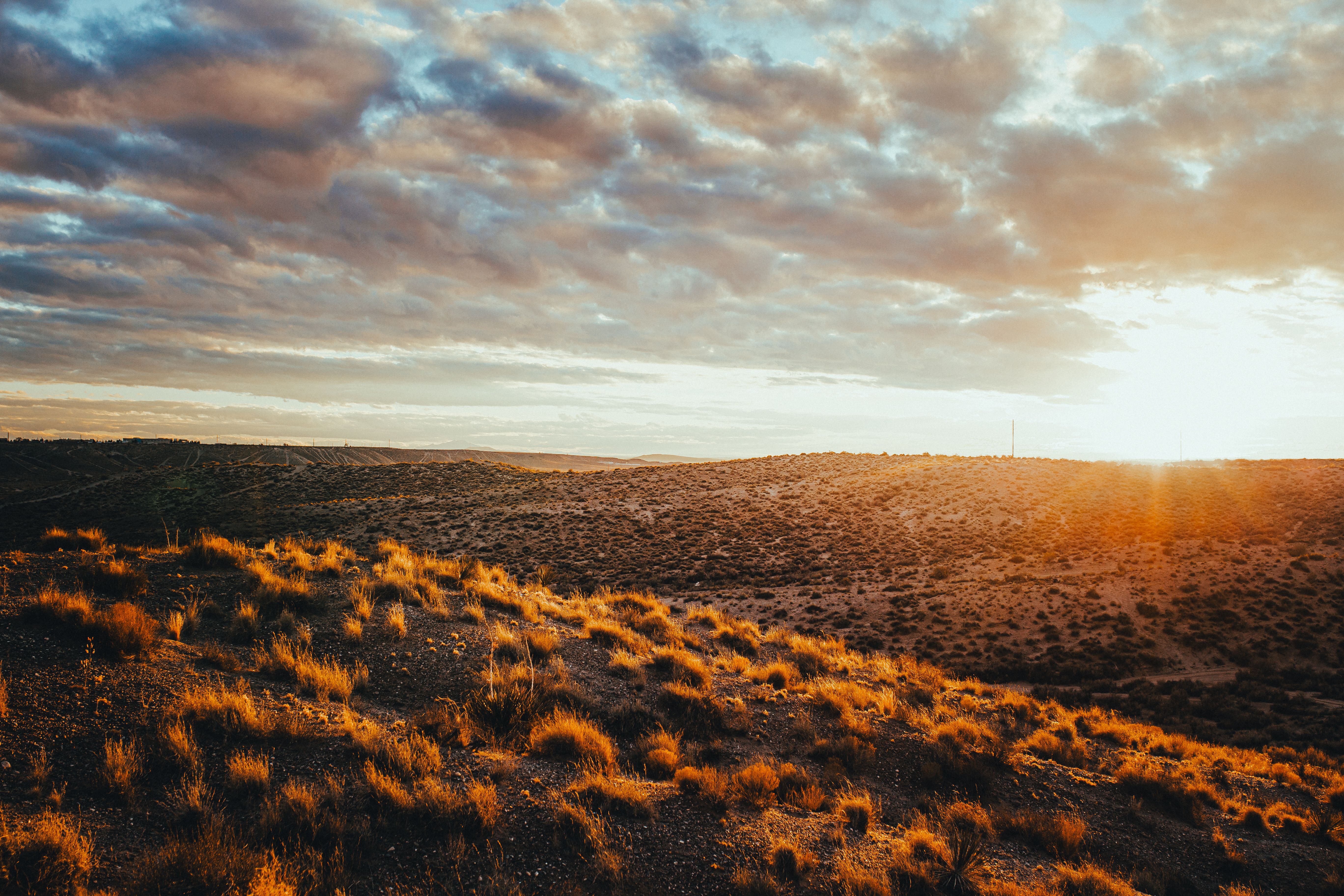Golden hour view of a sunlit desert landscape in New Mexico, USA, with dramatic skies.