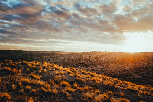 Brown Field During Sunset