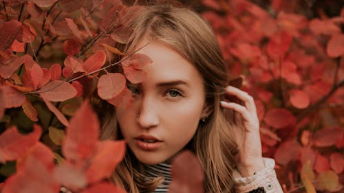 Free Thoughtful lady near bushes with red foliage Stock Photo