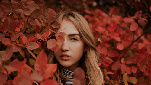 Free Emotionless young lady near bushes and plants with red leaves looking at camera in countryside in autumn day Stock Photo