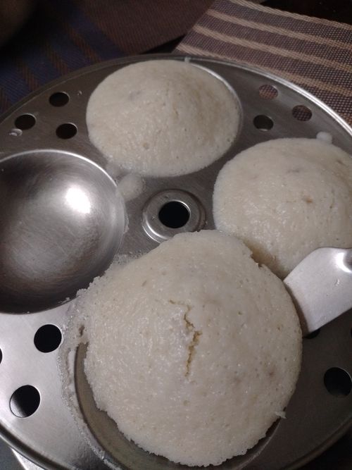 Free stock photo of idli Stock Photo
