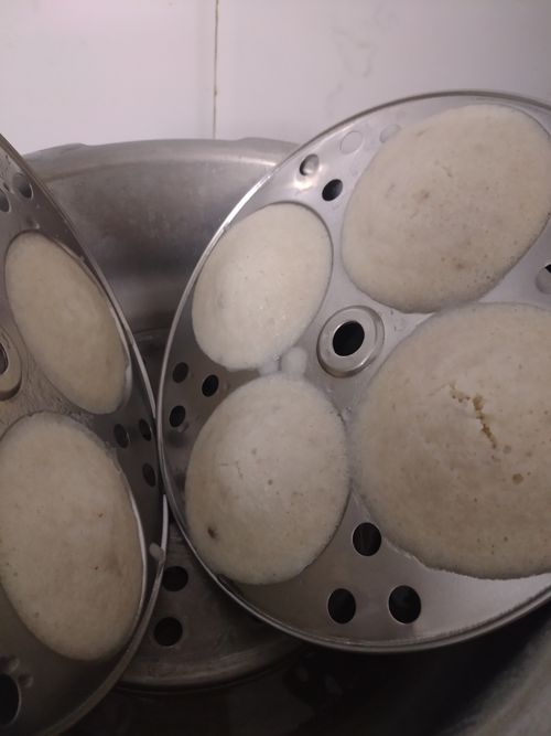 Free stock photo of idli Stock Photo