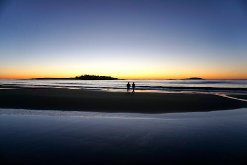 Silhouette of 2 People Standing on the Seashore during Sunrise