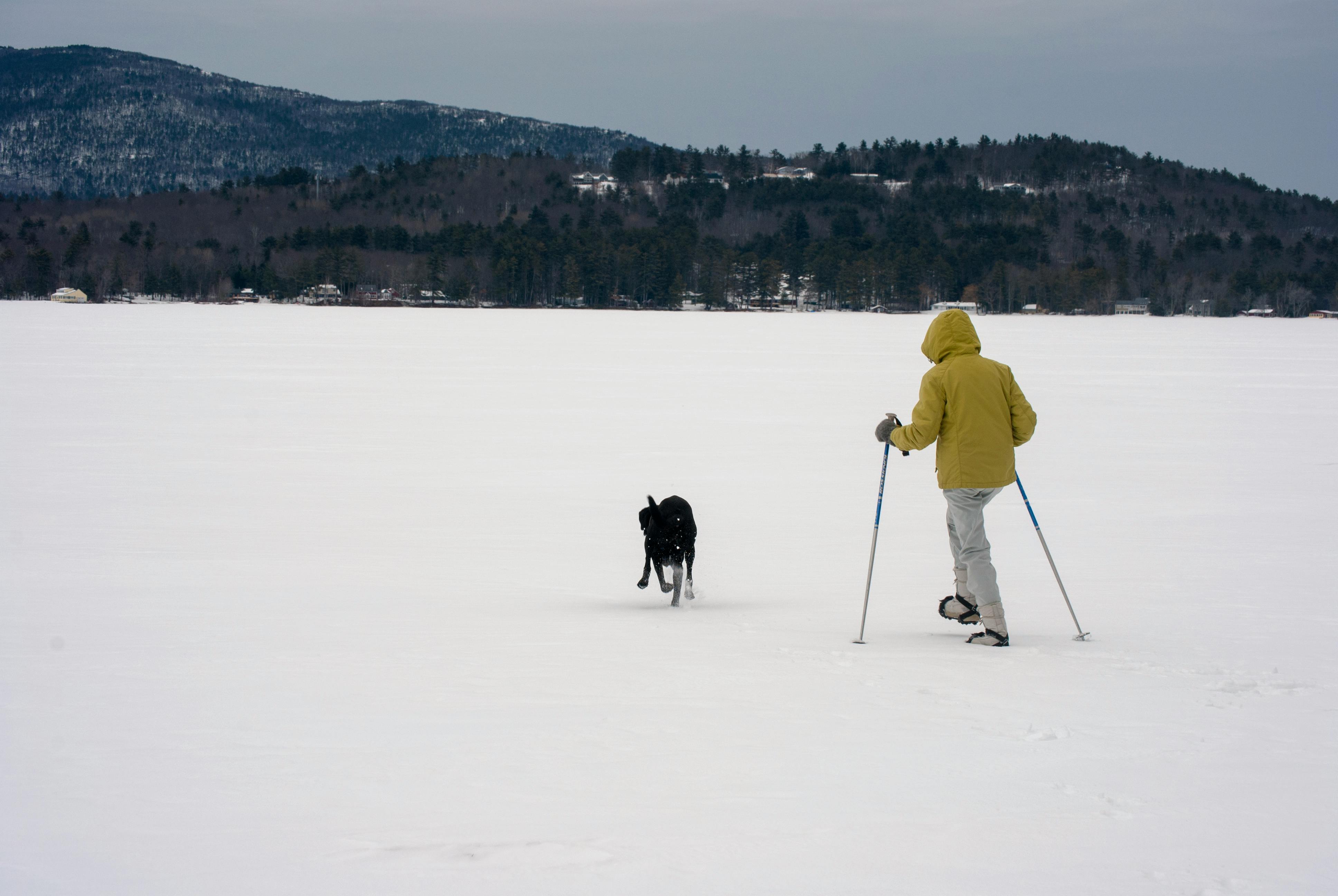 A person skiing with a dog on a snow-covered field in Tuftonboro, NH during winter.