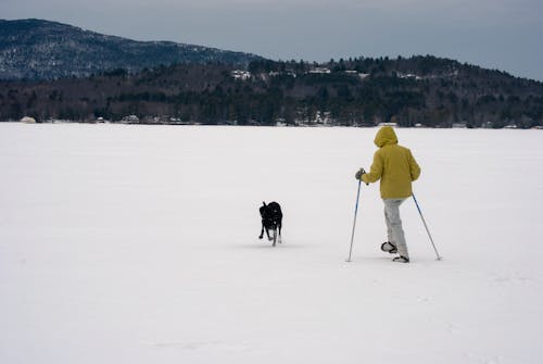 A Person Playing with His Dog on Snow Covered Ground