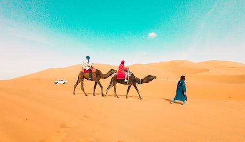 Free stock photo of 4x4, african people, arabian camel Stock Photo
