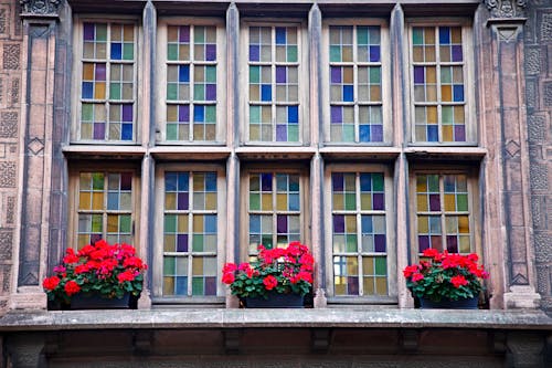 Bed of Flowers Near Stained Glass Windows of a Building