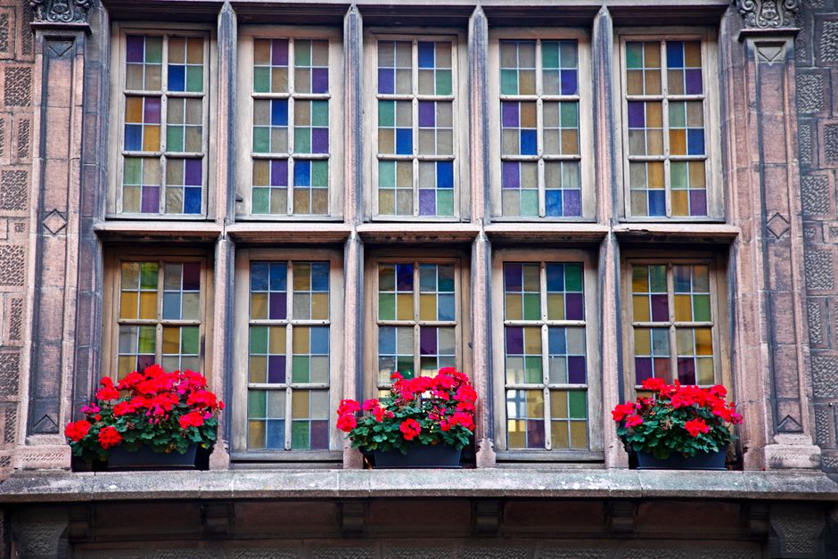 Colorful stained glass windows with vibrant red geraniums below, showcasing classic French architecture.