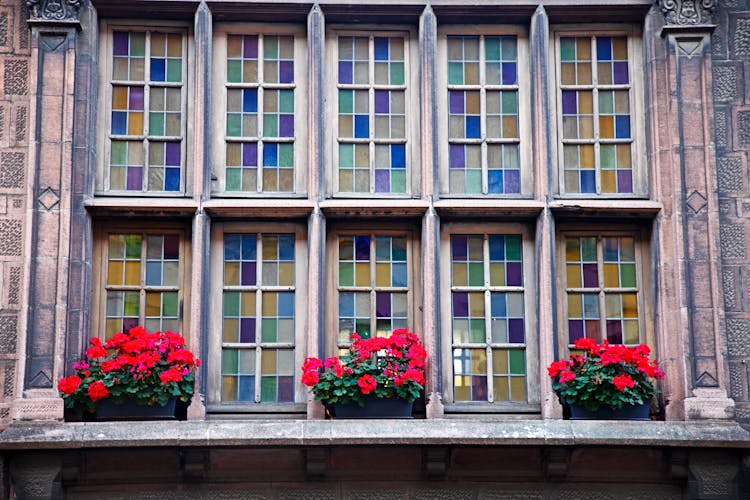 Bed Of Flowers Near Stained Glass Windows Of A Building