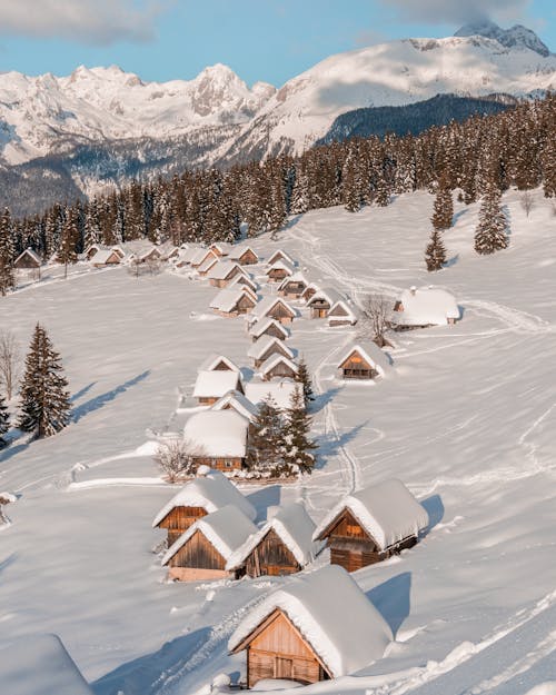 Imagine de stoc gratuită din acoperit de zăpadă, arbori, cabane