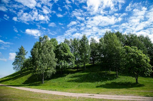 Free stock photo of blue, blue sky, clouds