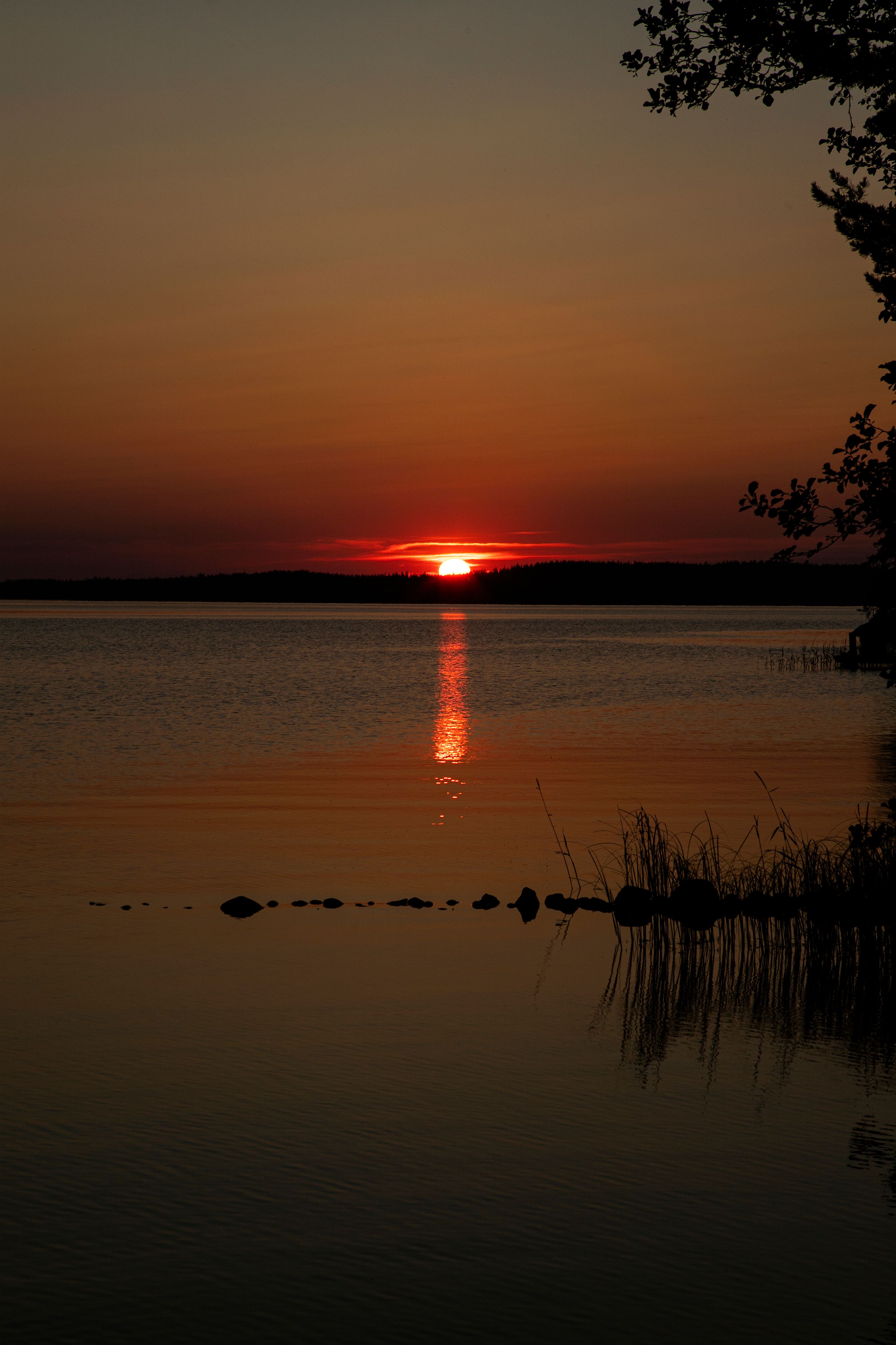 Reflection of Trees on Body of Water during Golden Hour · Free Stock Photo