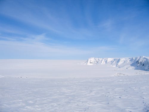 Foto d'estoc gratuïta de cobert de neu, hivern, medi ambient