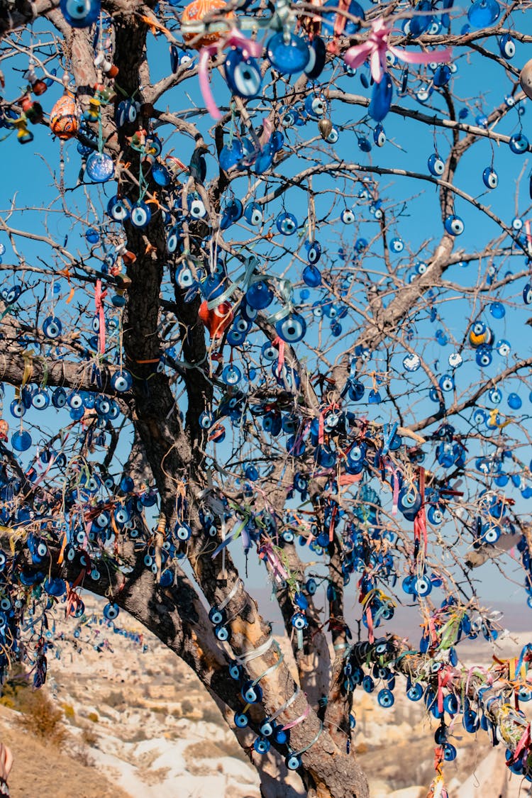 Colorful Ornaments On Tree