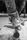 skate