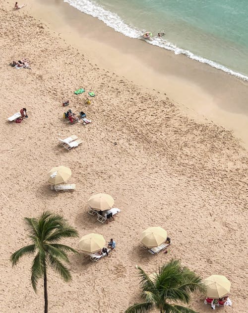 People Enjoying the Beach