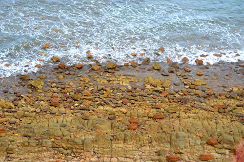 Brown Rocks on Seashore