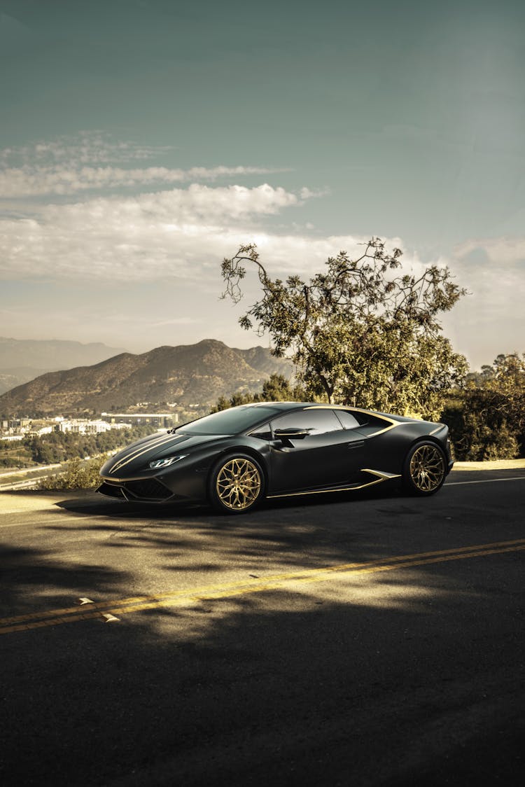 Black Sports Car Parked On The Hill Beside Tree