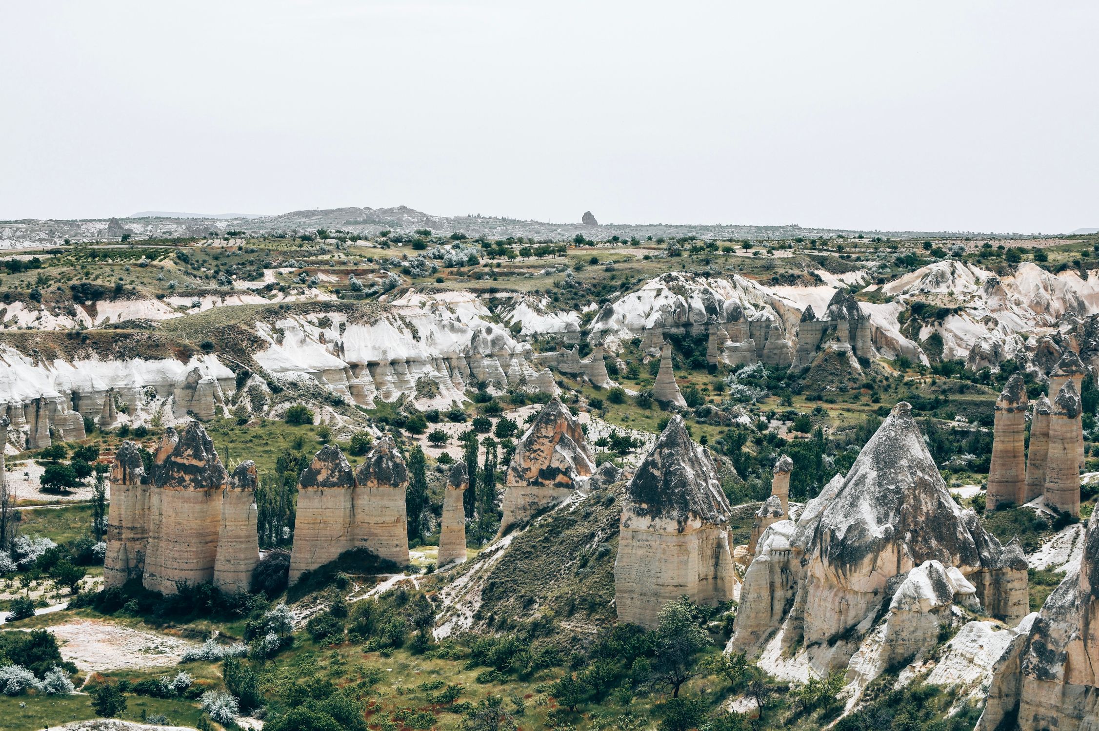 Discover Beyond Travel Journals