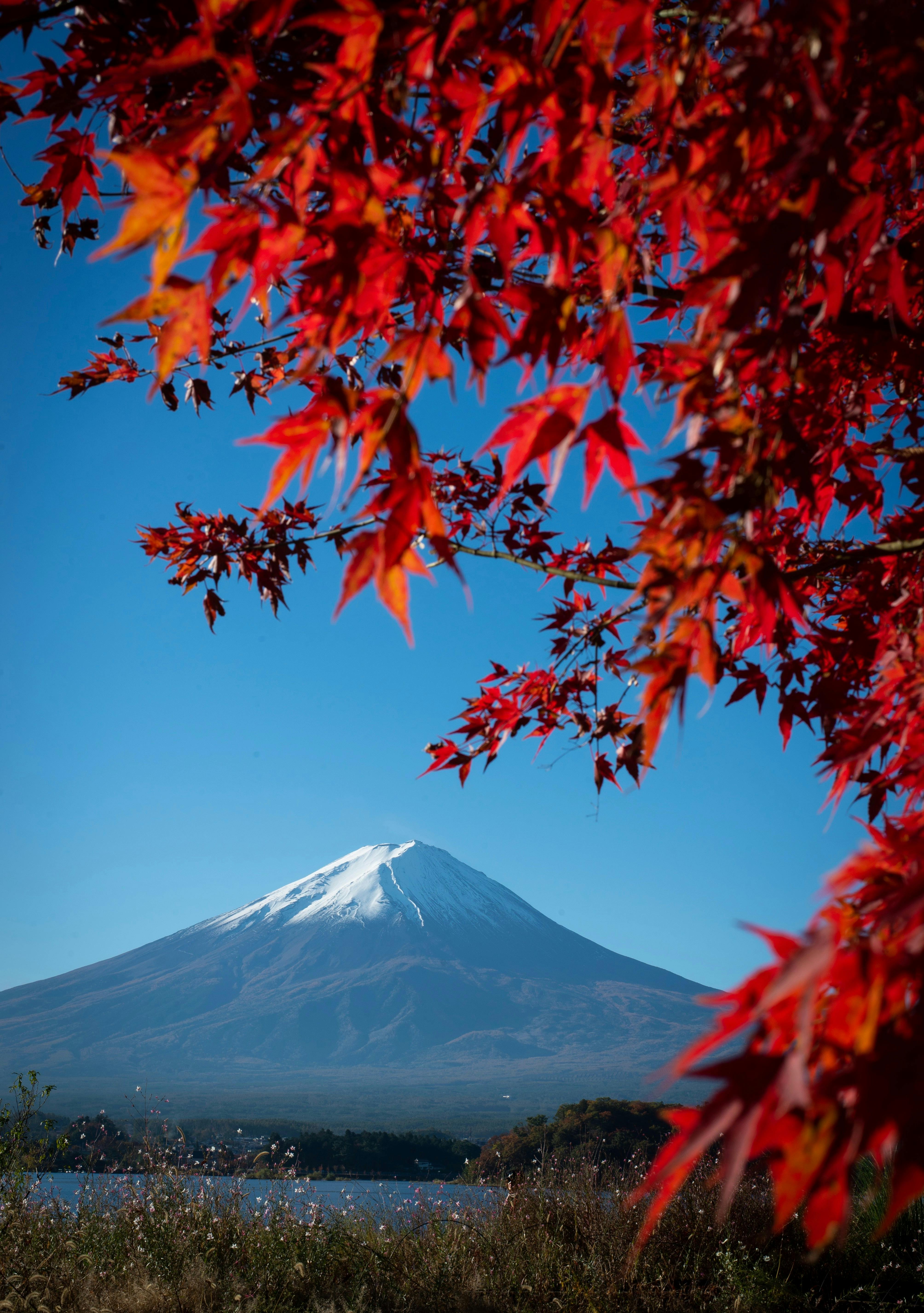 Download 8K iPhone Mount Fuji Wallpaper