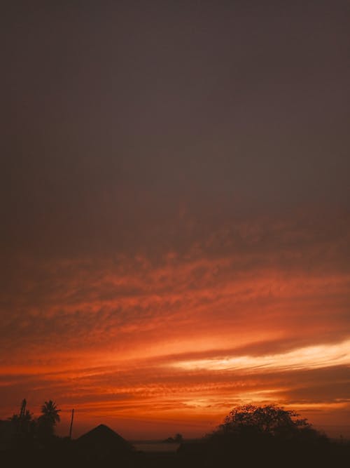 Free stock photo of africa, evening sun, gold wallpaper