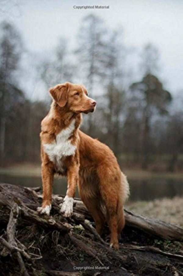 Company shareholders and stakeholders