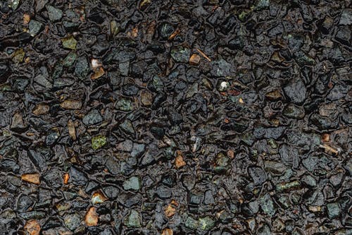 Black and Brown Stone Fragments