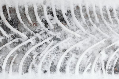 Kostenloses Stock Foto zu gefroren, kälte - temperatur, muster