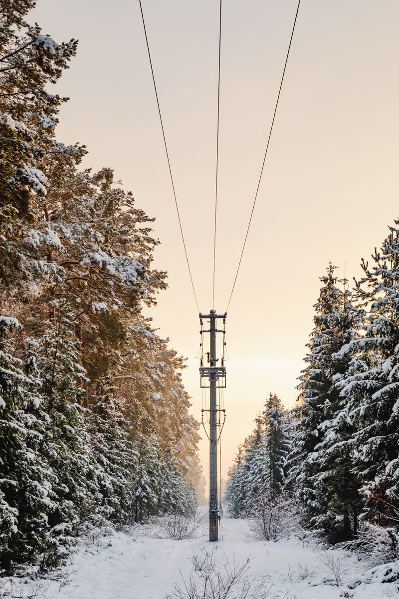 Transmission lines running through a snow-covered forest in cold weather
