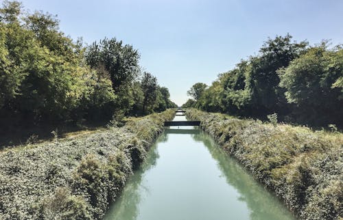 Gratis stockfoto met agrarisch, bomen, buitenshuis