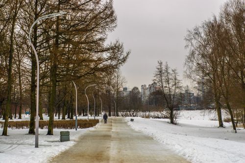 Free A serene winter scene with a snowy path in a city park, surrounded by leafless trees. Stock Photo