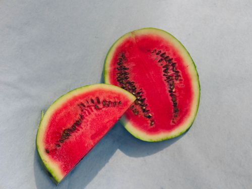 Free Top view of fresh watermelon slices showcasing vibrant colors and textures. Stock Photo