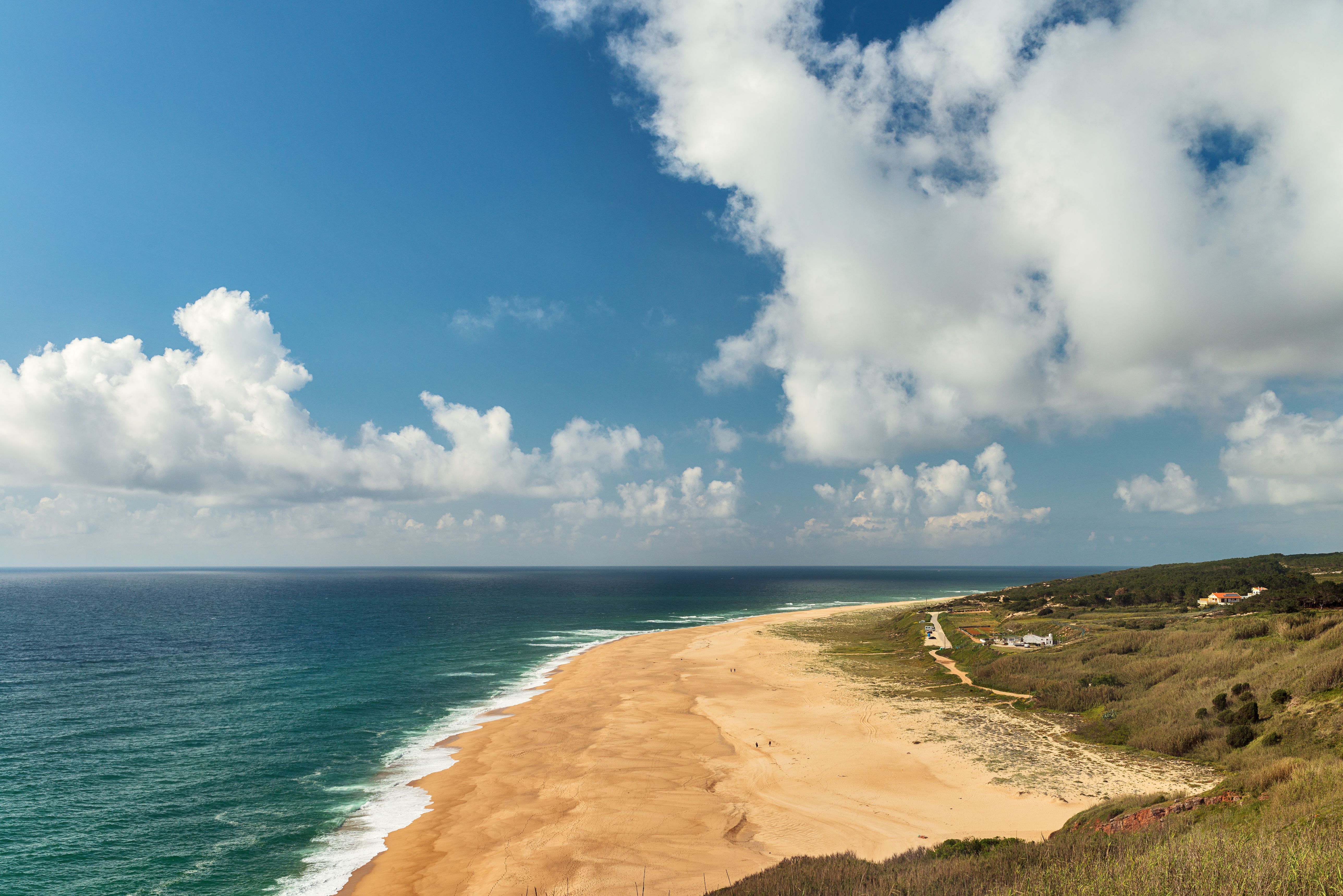 A Beach Under the Blue Sky and White Clouds · Free Stock Photo