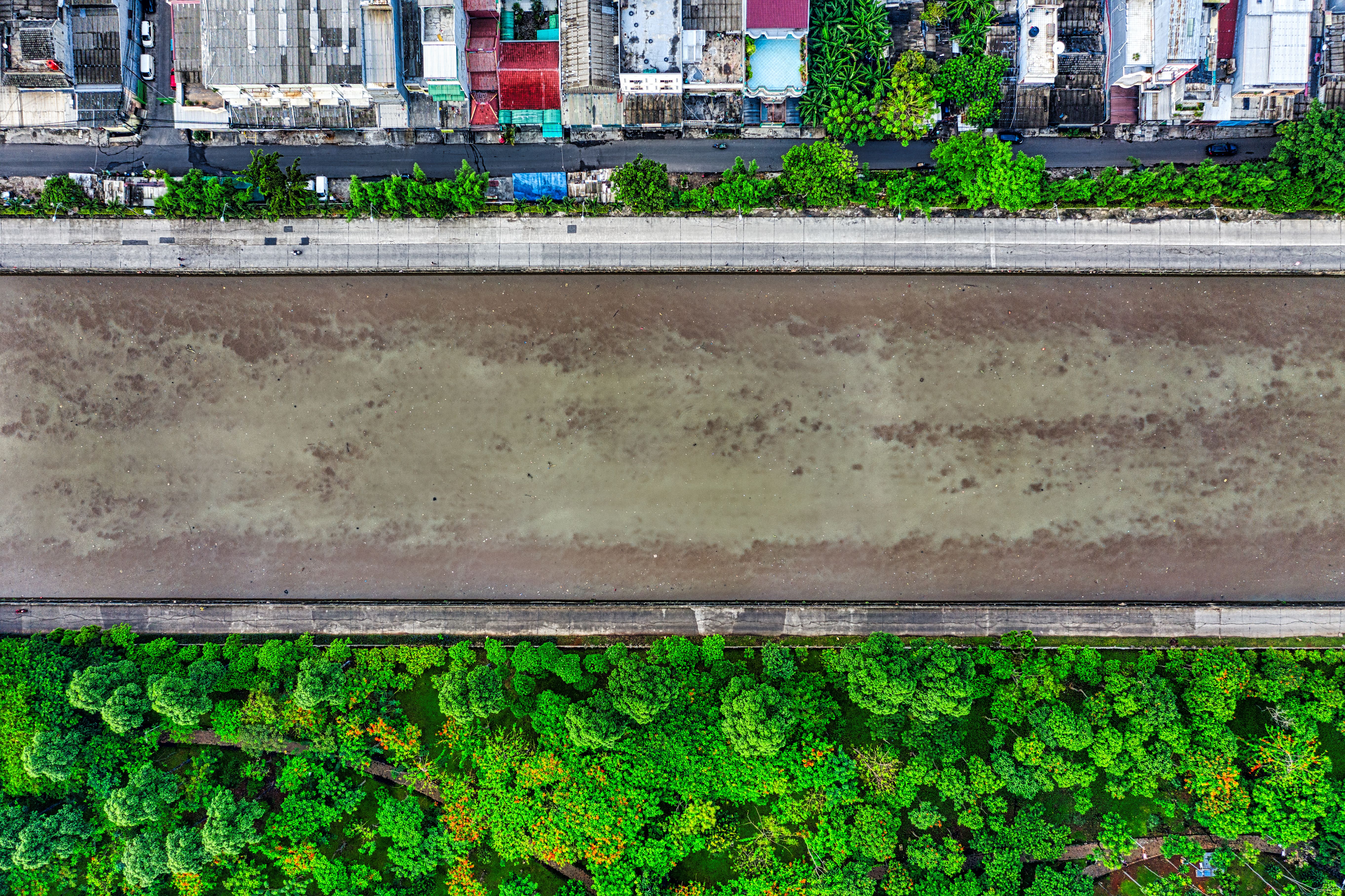The Secret Power of City Green Corridors: How a Daily Sprint Through Urban Nature Can Sharpen Your Focus