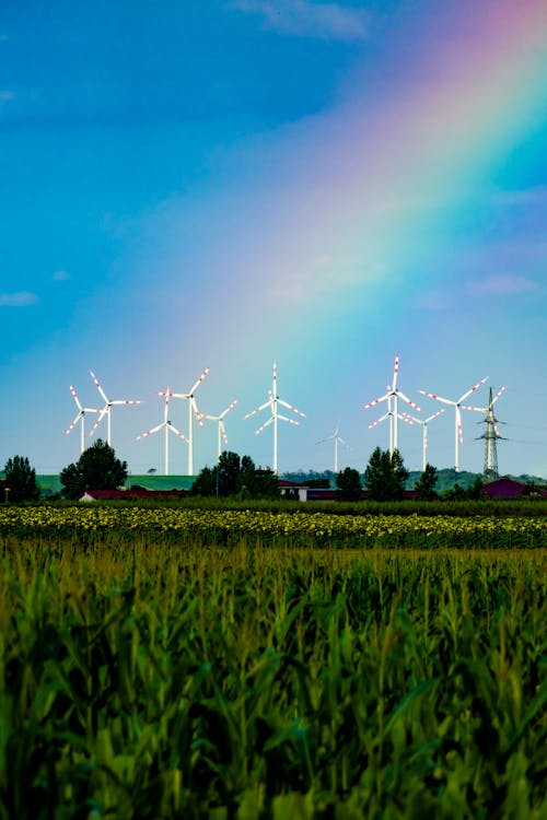 Gratis stockfoto met alternatieve energie, blauwe lucht, molens