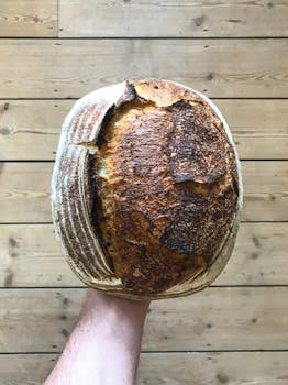 Crispy crusted sourdough bread held in hand, showcasing rustic homemade appeal.
