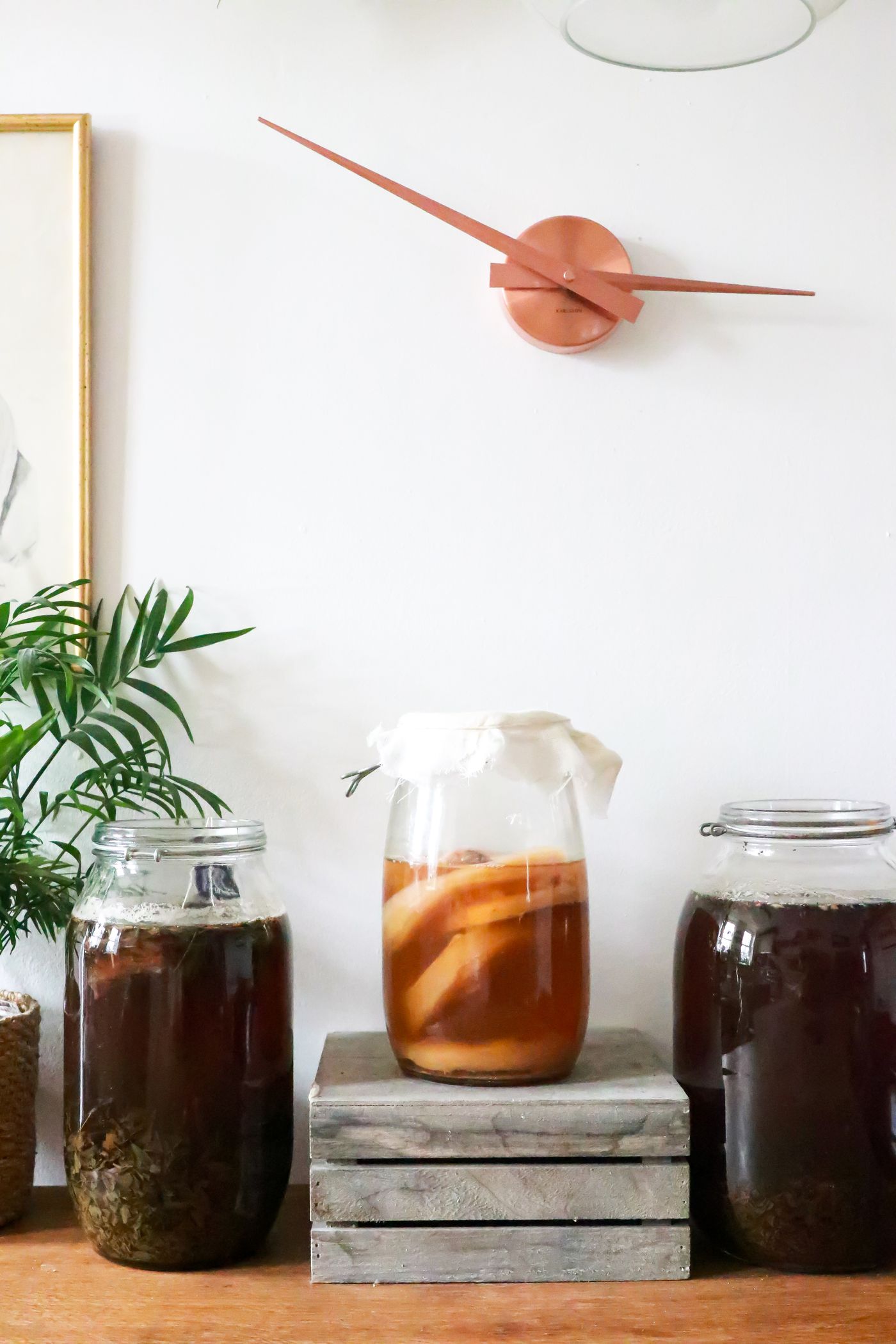 Kombucha & Kefir at Season & Pantry