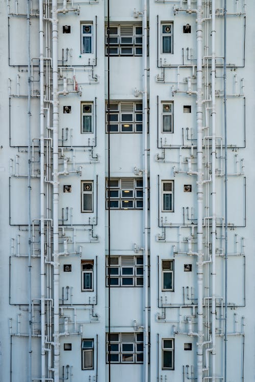 400 Best Hong Kong Photos 100 Free Download Pexels Stock Photos