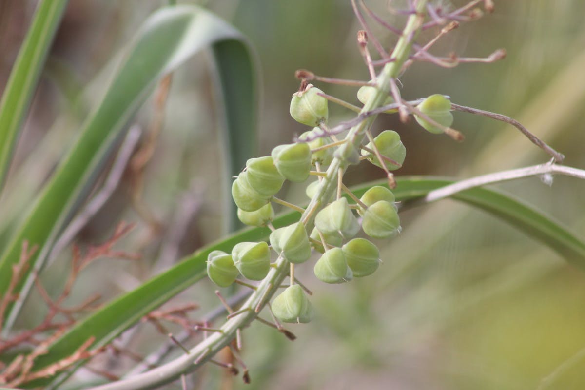 Boiled eggs, cheese, and hummus arranged as protein sources on a small plate