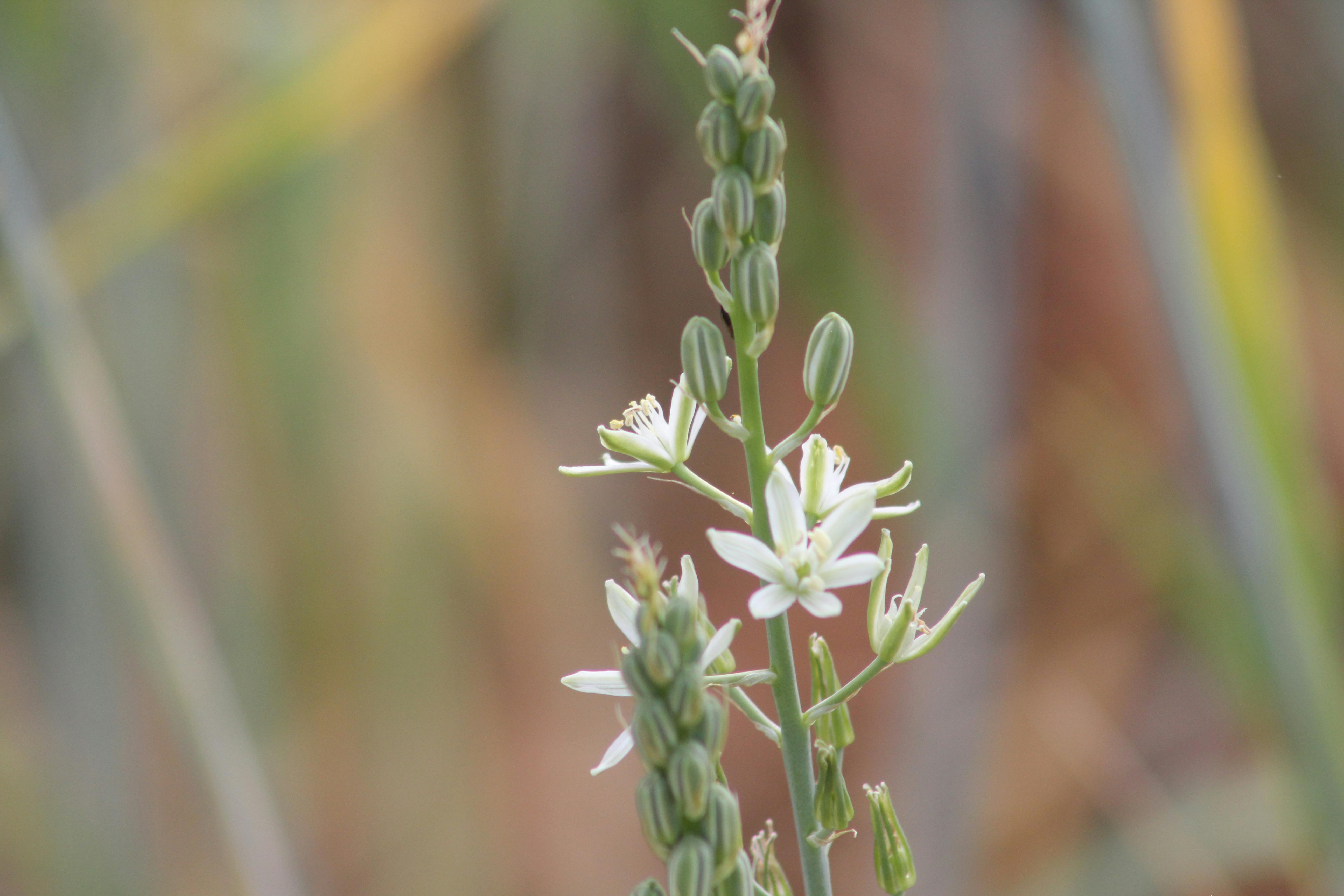 Television studio kitchen set prepared for a cooking show