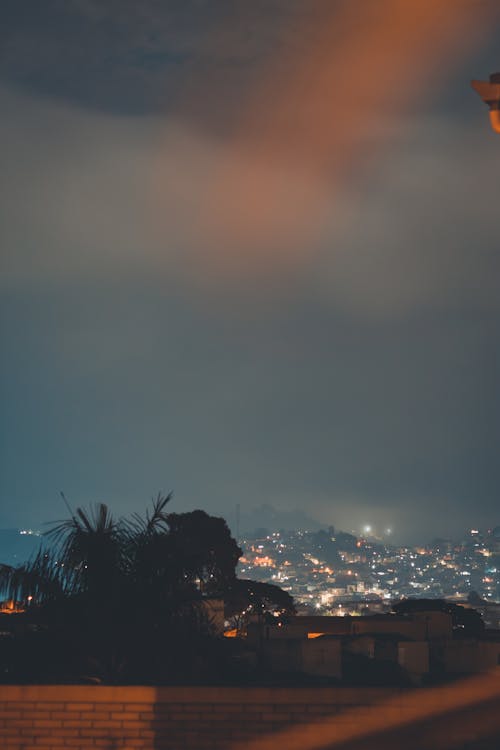 Cloudless sundown sky above murky street with green plant and illuminated residential city buildings in evening time in foggy weather