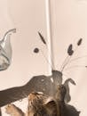 Curious domestic cat with paws on wall looking on shadow of glass teapot with branches of plant in room with bright sunlight