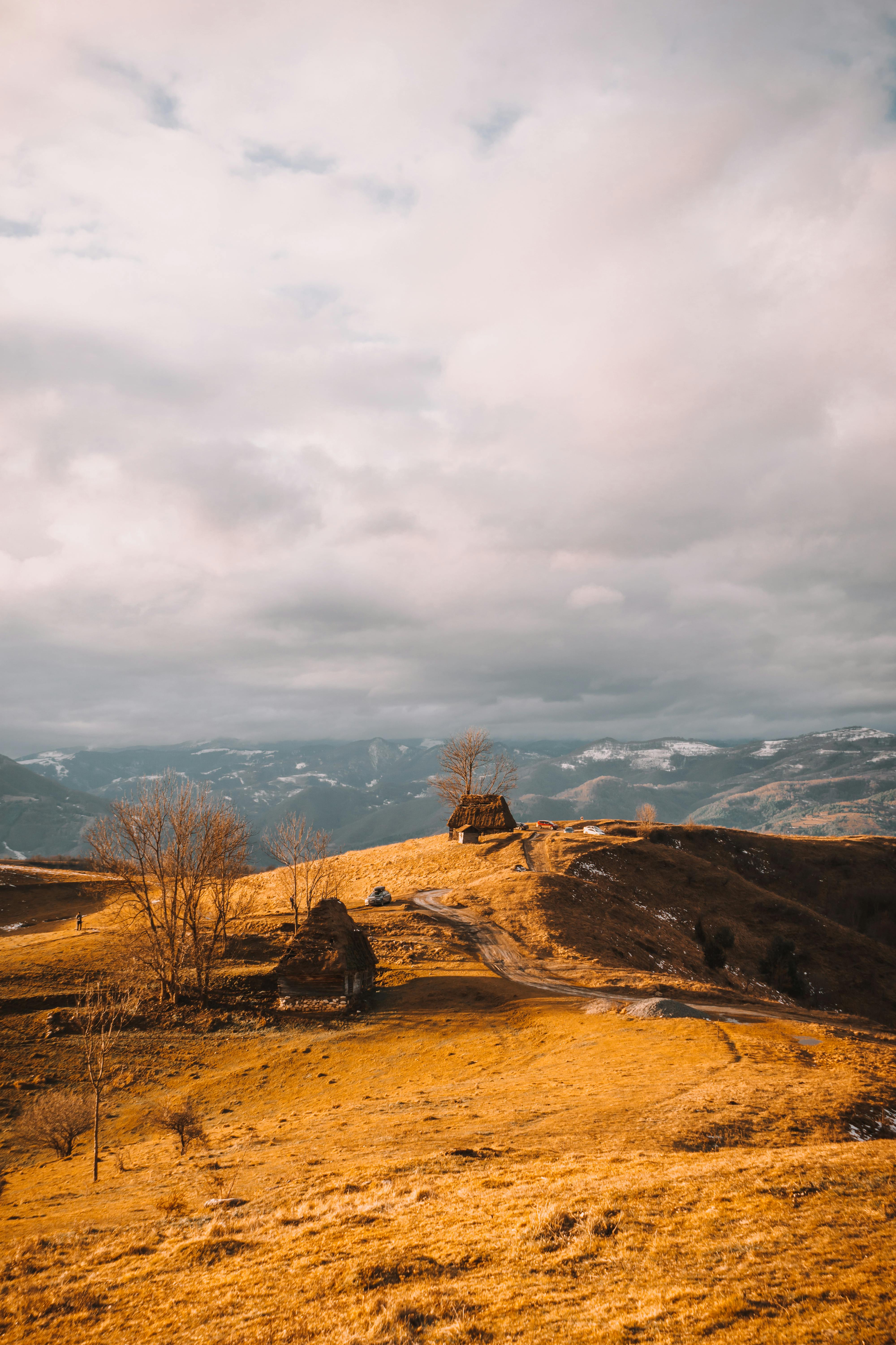 Discover the serene rural landscape of Dumești, Romania with rustic huts and rolling hills.