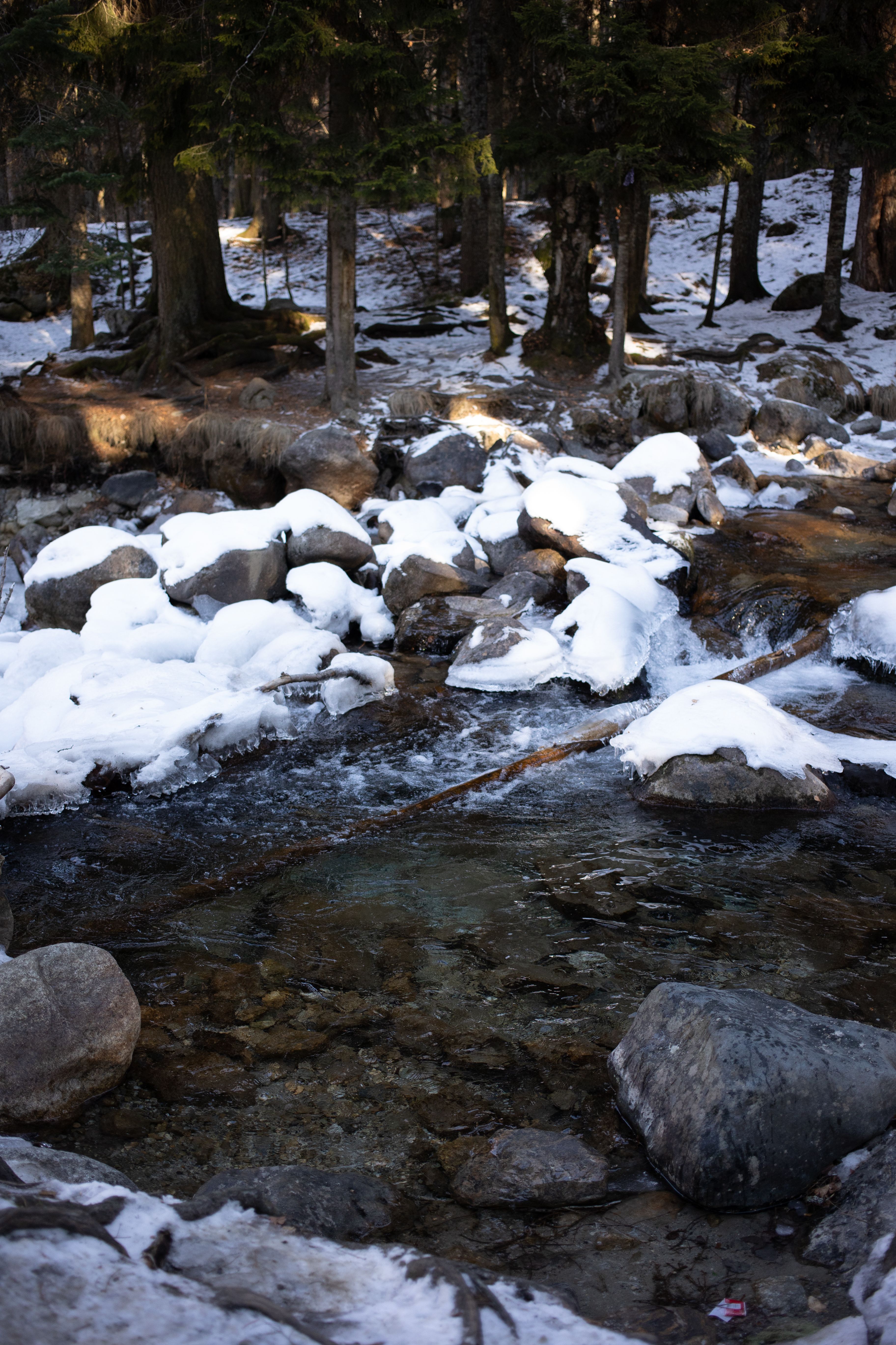 A River Flowing Through Snow Covered Rocks · Free Stock Photo