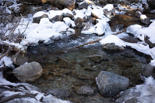 Peaceful winter scene of a snow-covered stream flowing over rocks and driftwood in a serene forest setting.