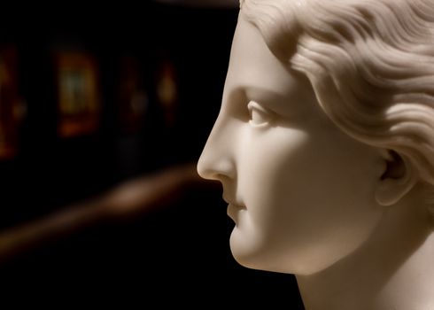 A detailed profile view of a marble sculpture highlighting artistic precision.