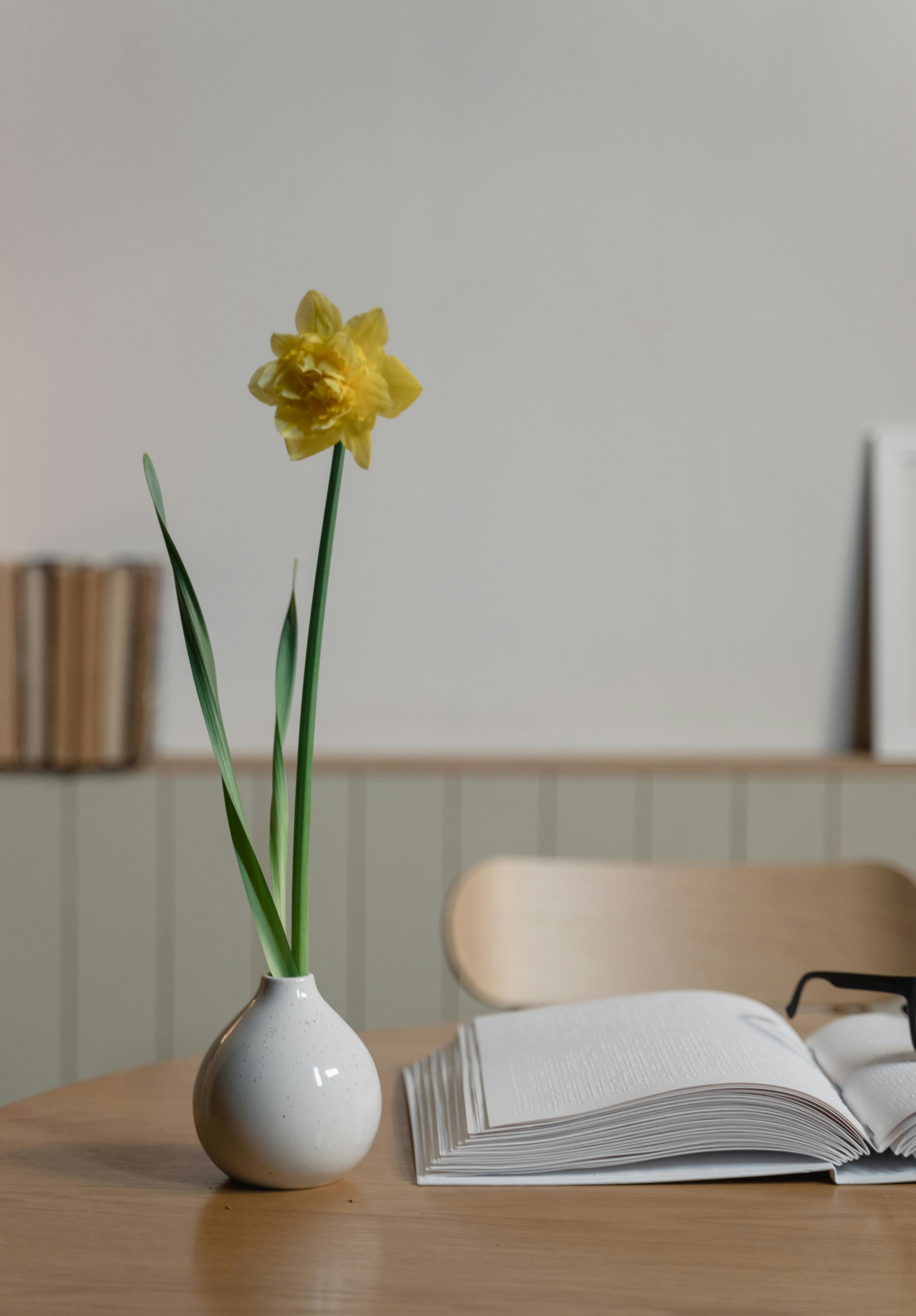 A serene still life featuring a yellow daffodil in a white vase, beside an open book on a wooden table.