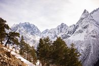 Green Trees Near Snow Covered Mountain