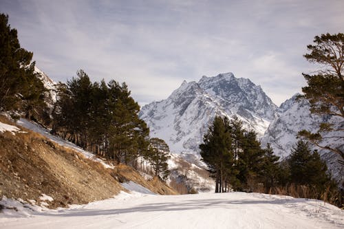Free 全景, 冬季, 冰 的 免费素材图片 Stock Photo